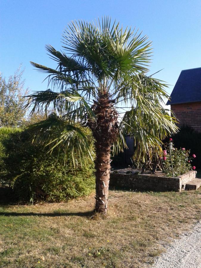 B&B Ferme De La Rouzannerie Pour 2 Ou Famille Lanneray Zewnętrze zdjęcie